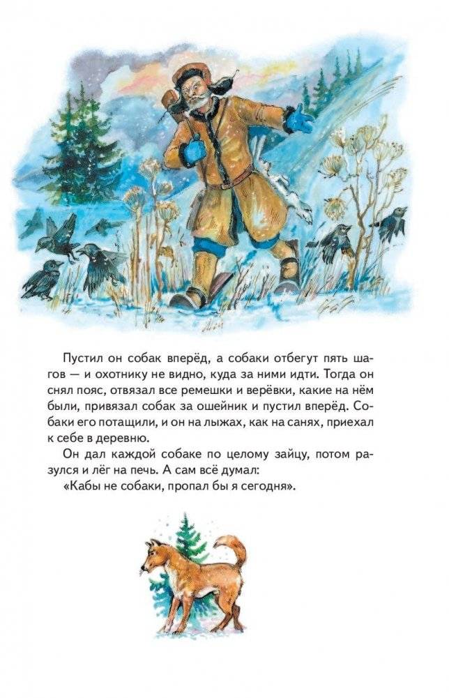 Кенгура фото книги 5