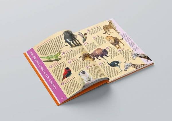 Планета животных (для говорящей ручки "Знаток") фото книги 6