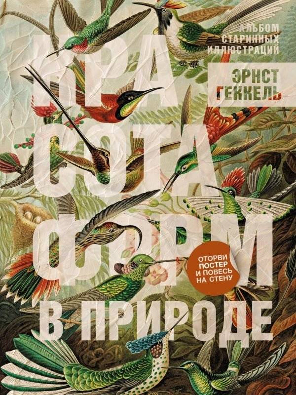 Красота форм в природе. Альбом старинных иллюстраций | The Beauty of Form in Nature: An Album of Antique Illustrations