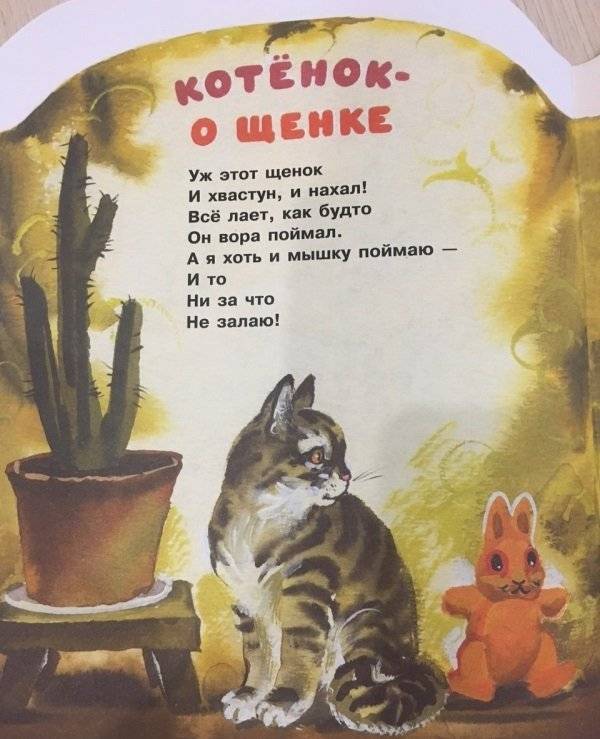 Подарок фото книги 5