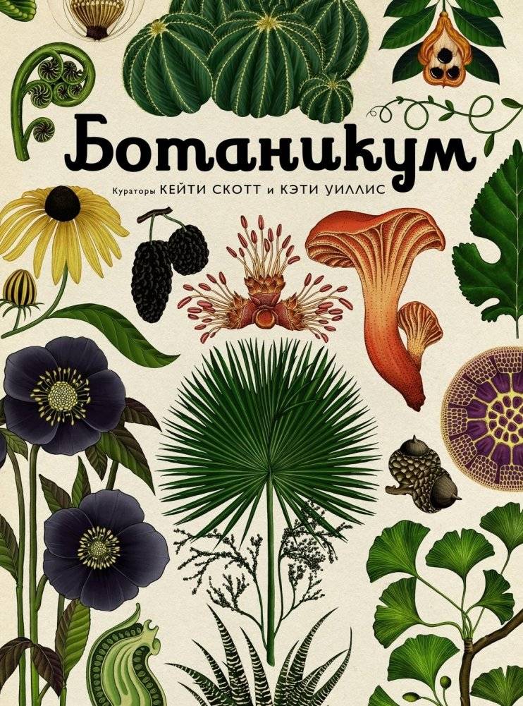 Ботаникум | Botanicum