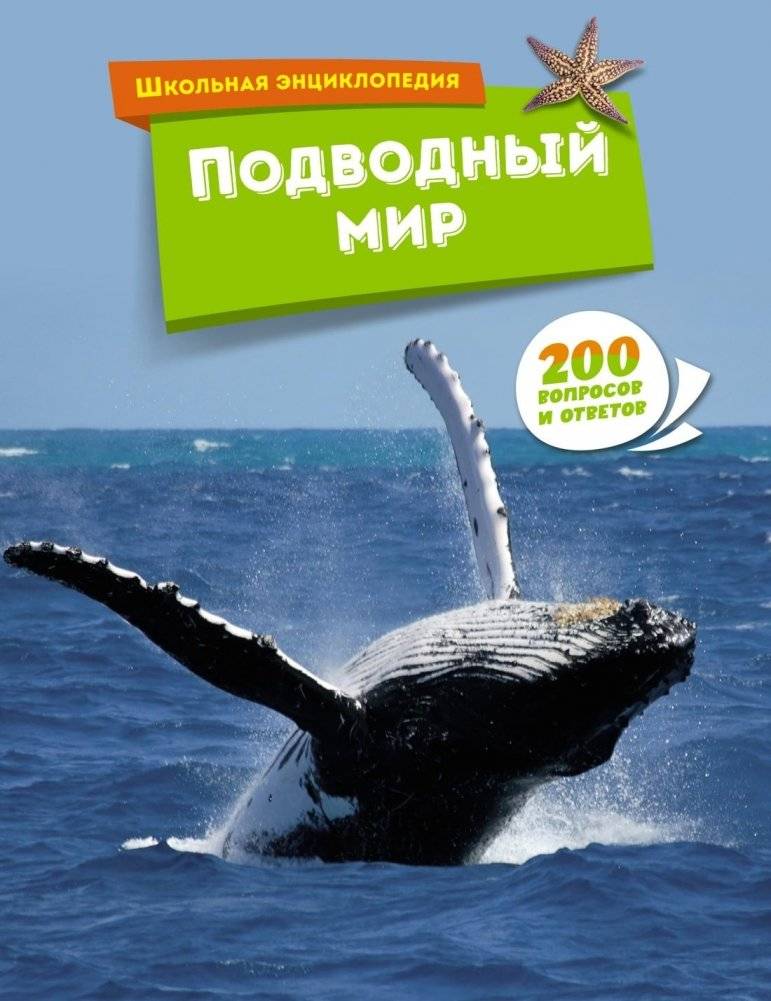 Подводный мир | The Underwater World