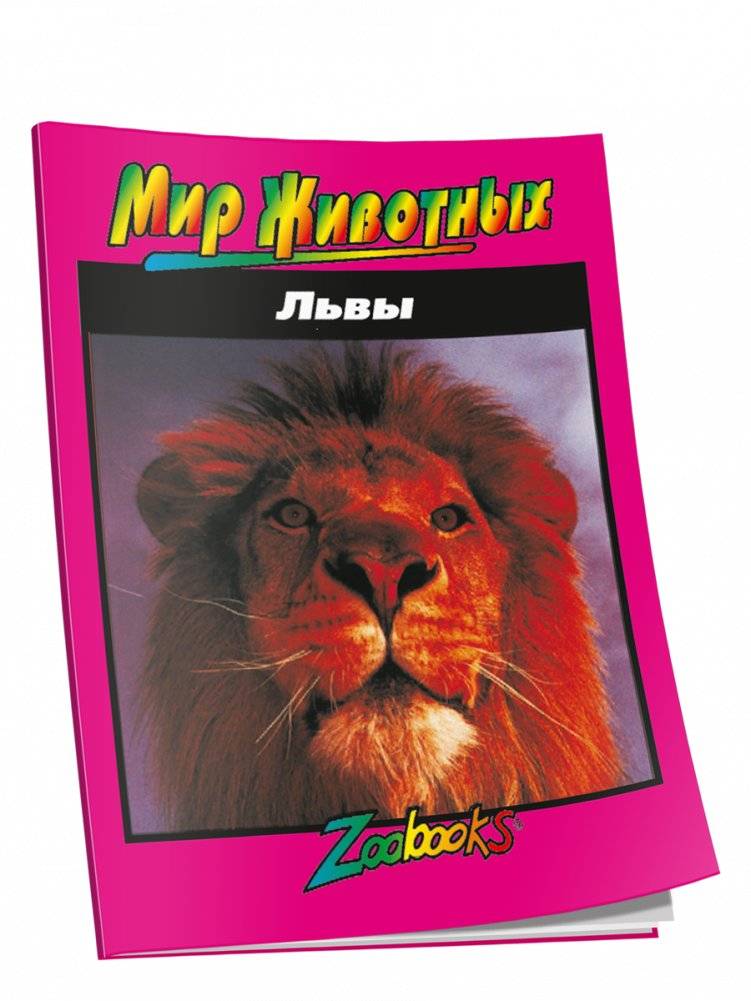 Львы | Lions