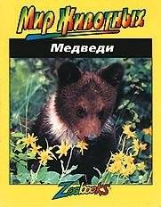 Медведи | Bears