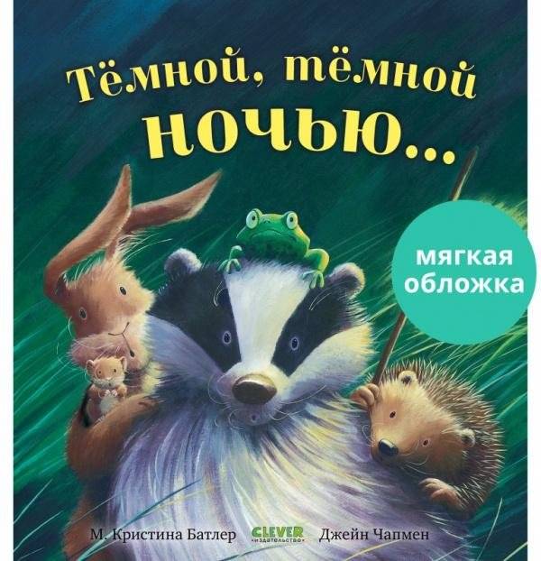 Тёмной, тёмной ночью... | On a Dark, Dark Night...