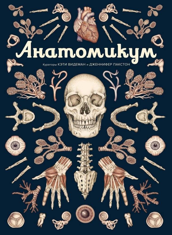 Анатомикум. Энциклопедия для детей | Anatomicum: An Encyclopedia for Children