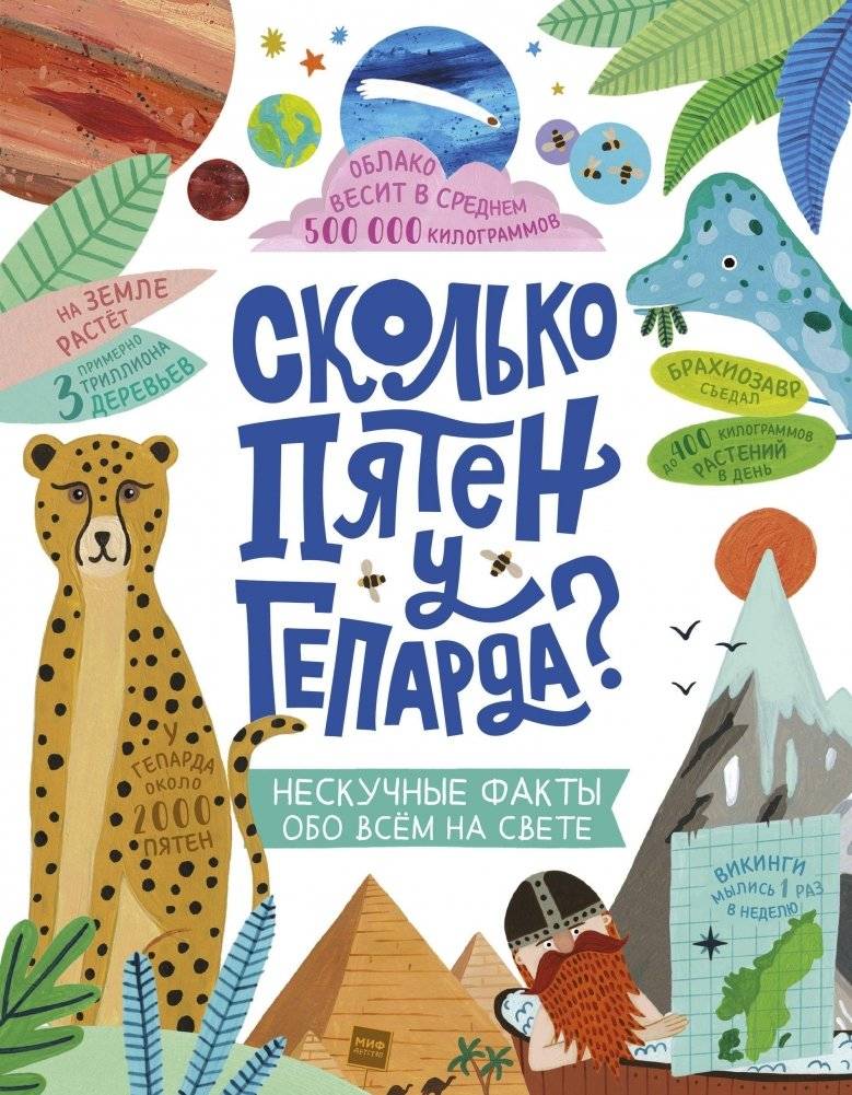 Сколько пятен у гепарда? | How Many Spots Does a Cheetah Have?
