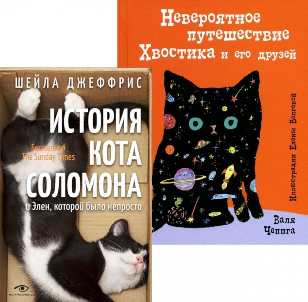 Книги про котиков для всей семьи (комплект из 2-х книг) | Books About Kitties for the Whole Family (2-Book Set)