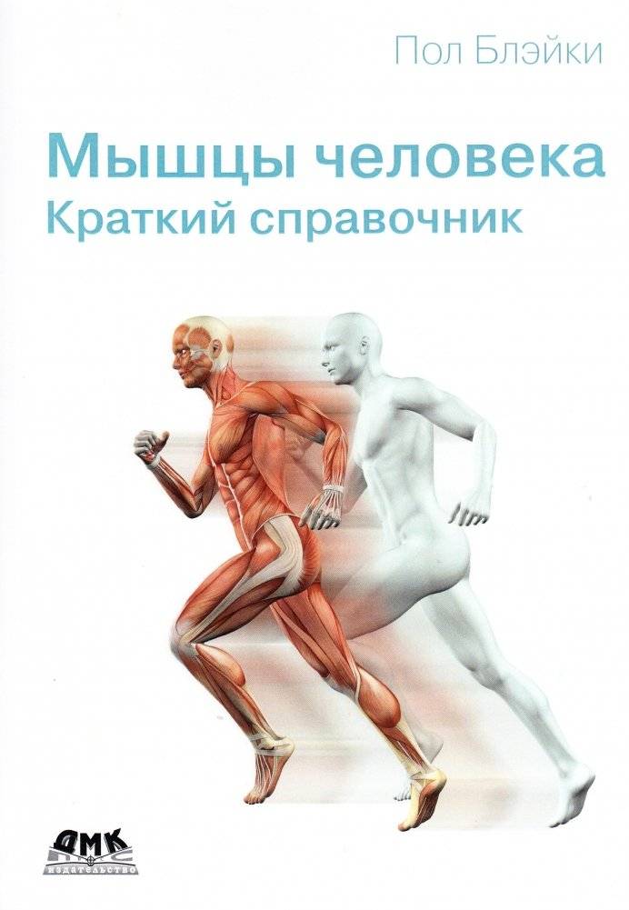 Мышцы человека. Краткий справочник | Human Muscles: A Concise Handbook