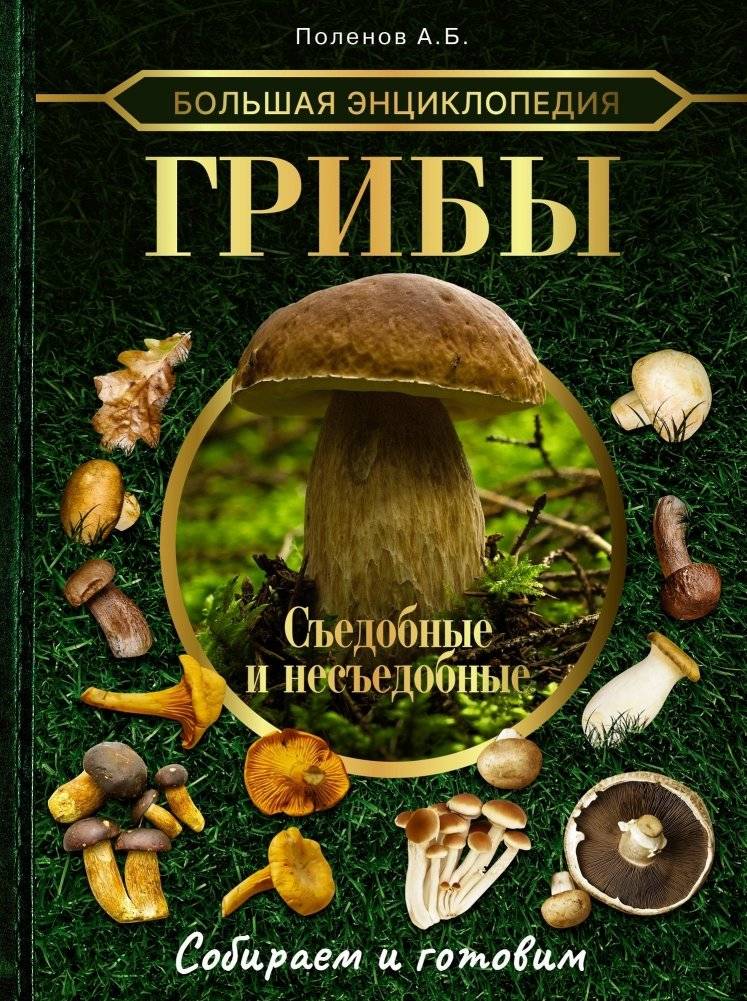 Большая энциклопедия. Грибы. Съедобные и несъедобные. Собираем и готовим. | Bol'shaia entsiklopediia. Griby. S'edobnye i nes'edobnye. Sobiraem i gotovim.