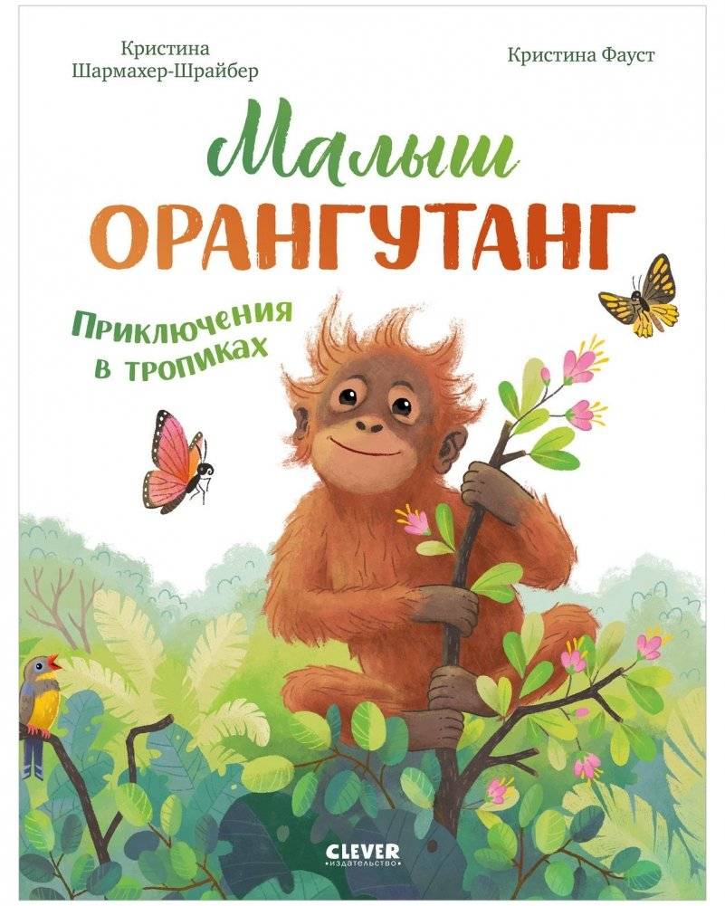 Малыш орангутанг. Приключения в тропиках | Baby Orangutan: Adventures in the Tropics