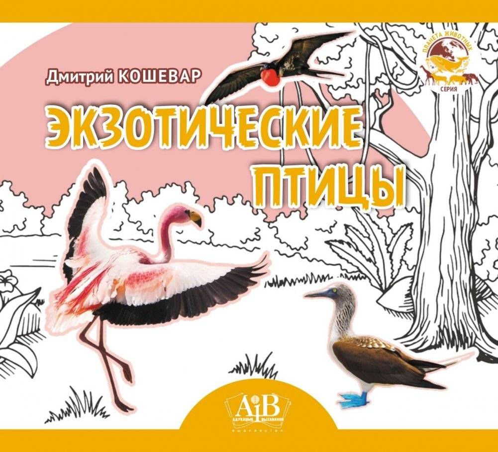 Экзотические птицы. Серия «Планета животных» | Exotic Birds (Planet of Animals series)