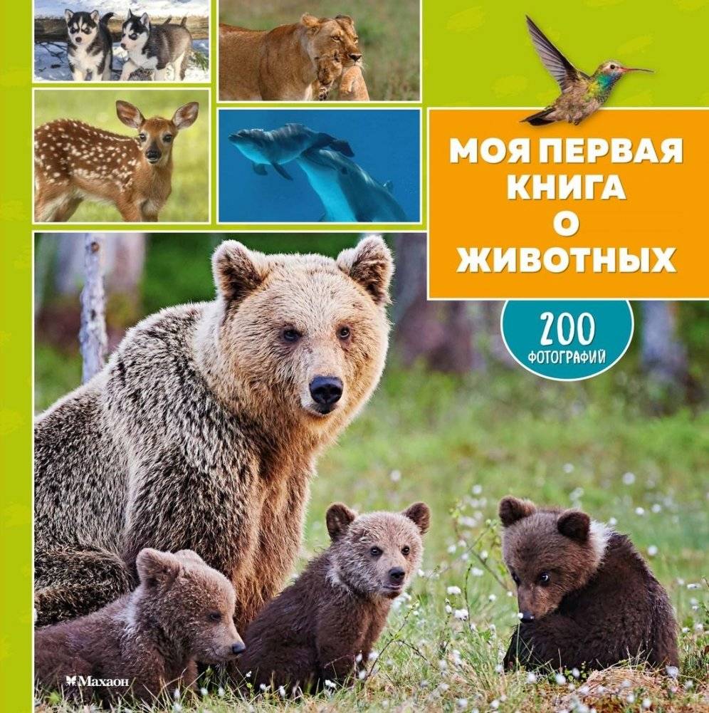 Моя первая книга о животных | My First Book About Animals