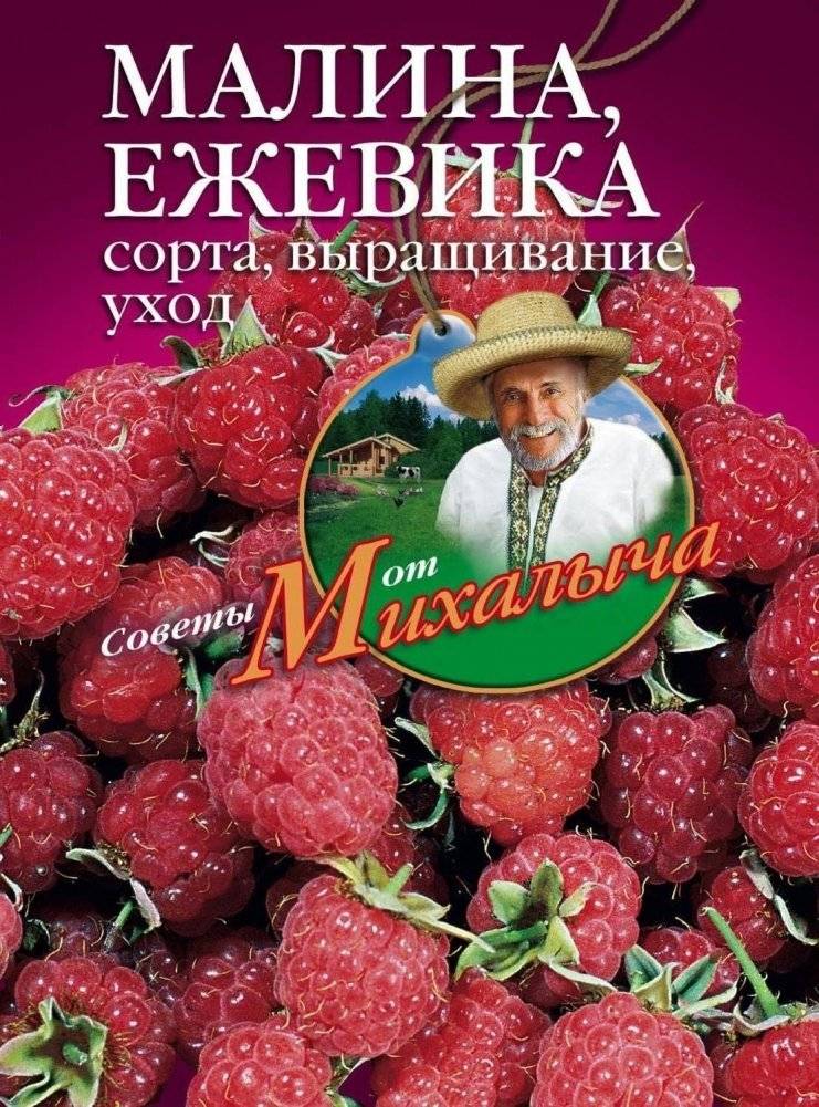 Малина, ежевика. Сорта, выращивание, уход | Malina, ezhevika. Sorta, vyrashchivanie, ukhod