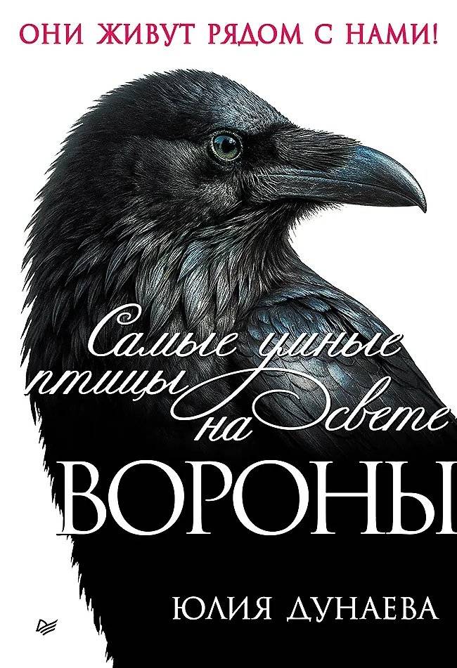 Самые умные птицы на свете. Вороны | The Smartest Birds in the World: Crows