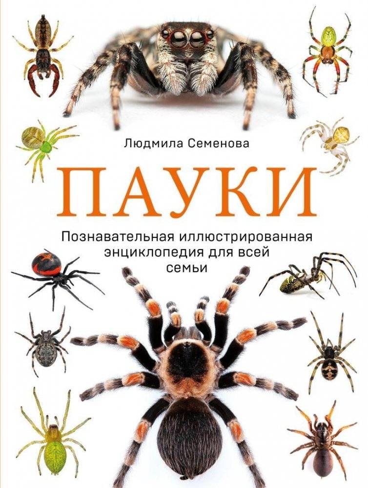 Пауки. Познавательная иллюстрированная энциклопедия для всей семьи | Spiders: An Illustrated Encyclopedia for the Whole Family