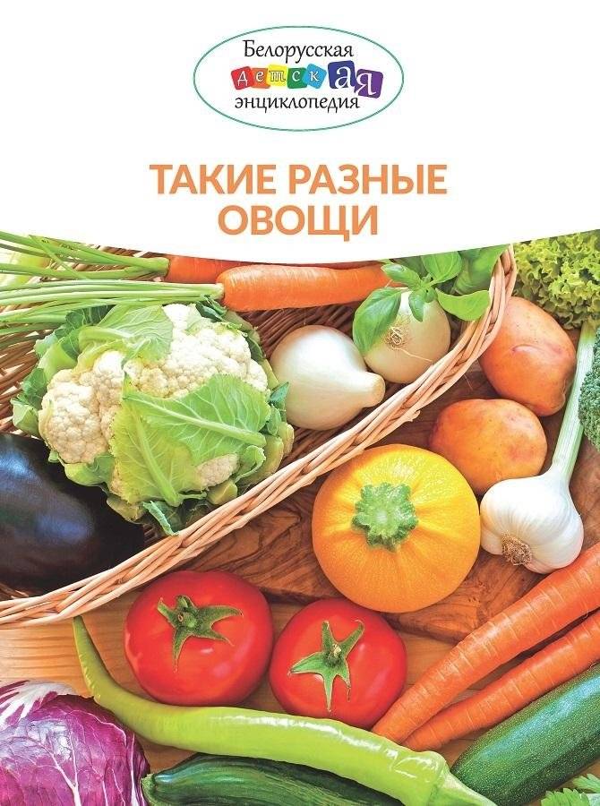 Такие разные овощи | Such Different Vegetables
