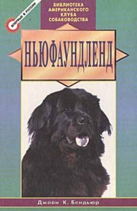 Ньюфаундленд | Newfoundland