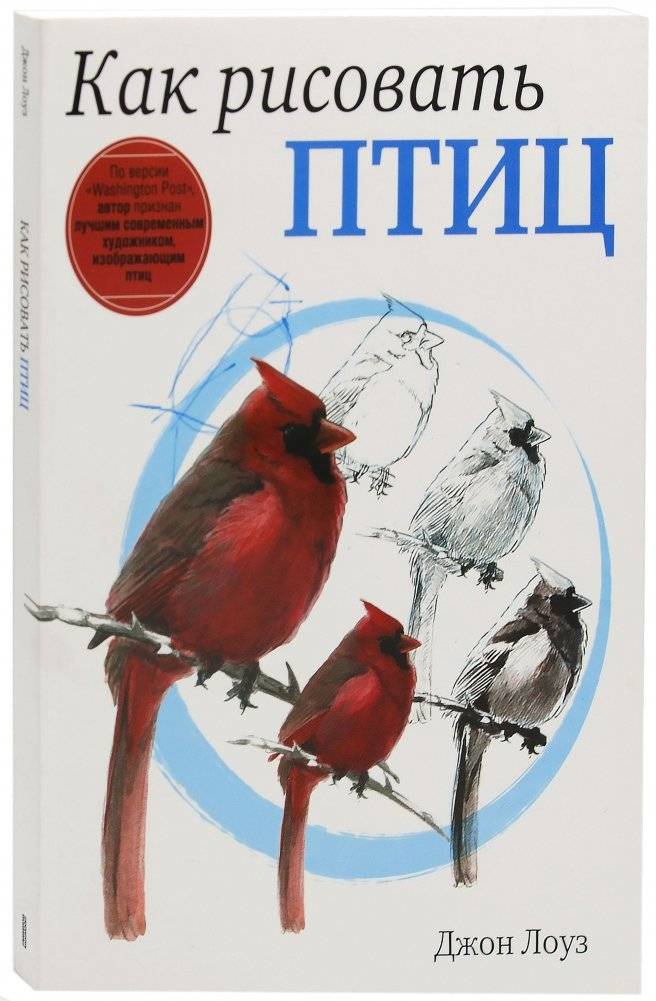 Как рисовать птиц. Руководство | How to Draw Birds: A Guide