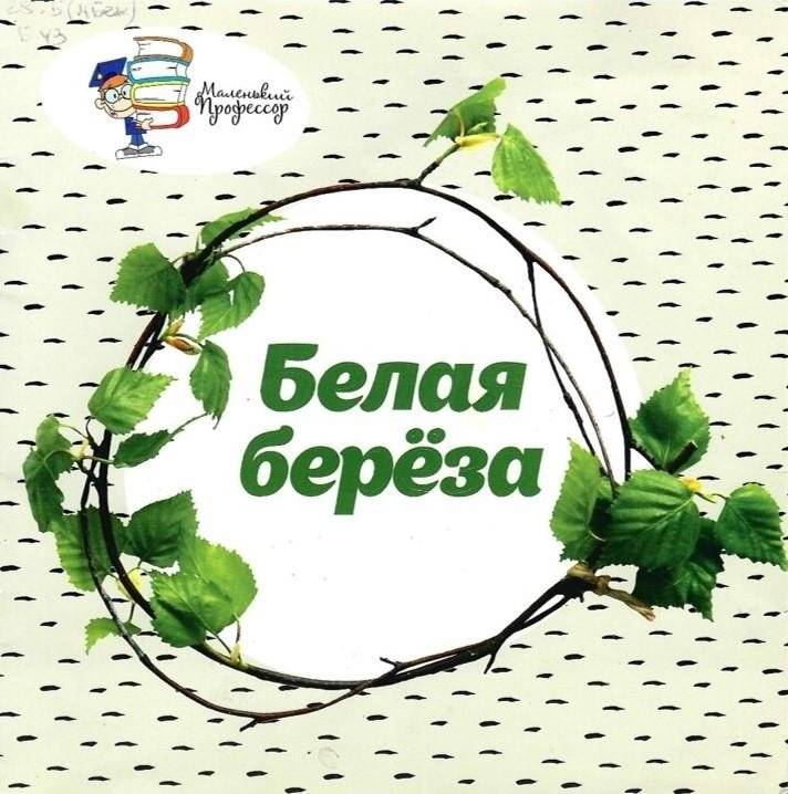 Белая берёза | White Birch
