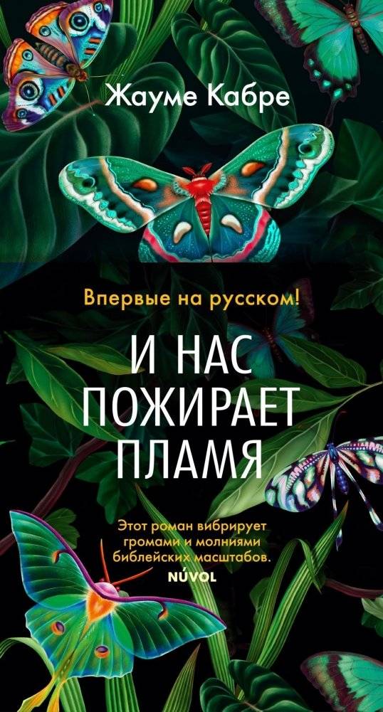 И нас пожирает пламя | And the Flame Devours Us