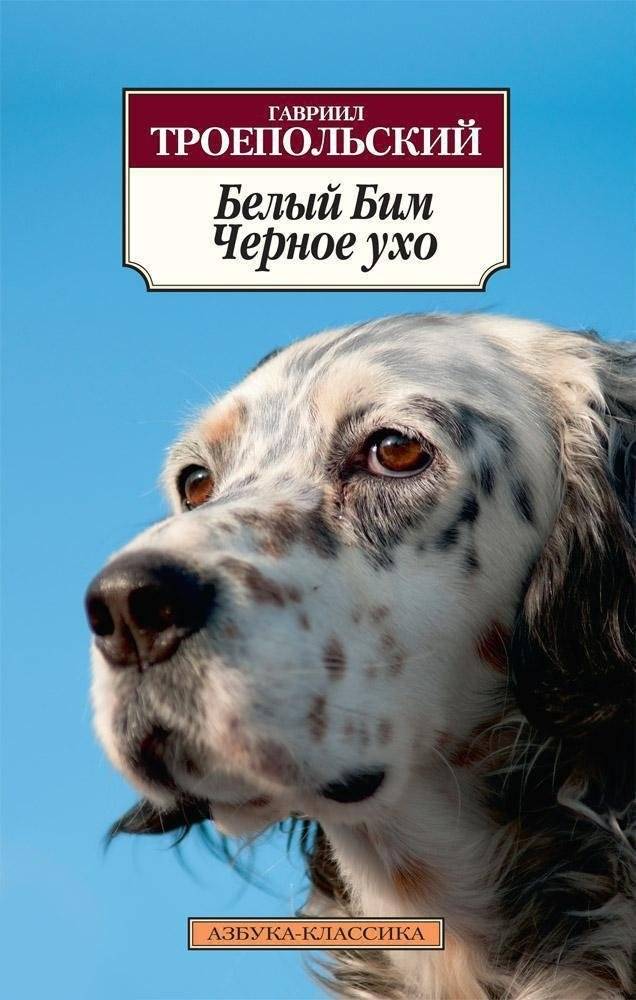 Белый Бим Черное ухо | White Bim Black Ear