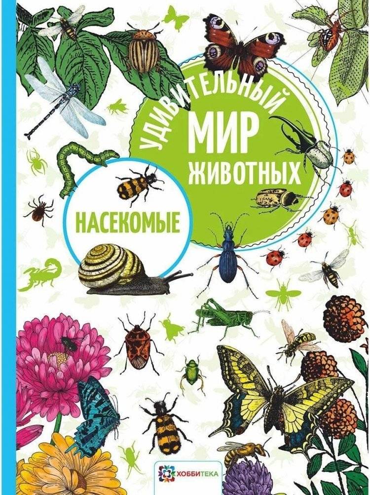 Насекомые | Insects