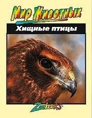 Хищные птицы