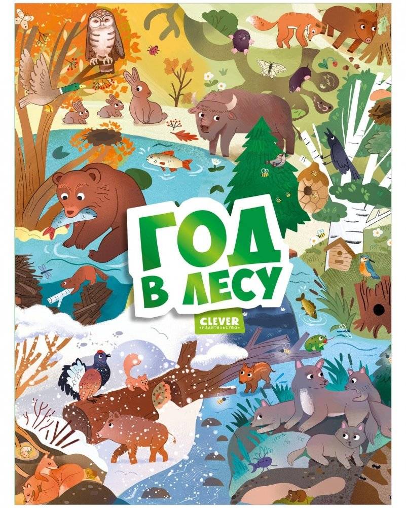 Виммельбух. Круглый год. Год в лесу | Wimmelbook. A Year in the Forest