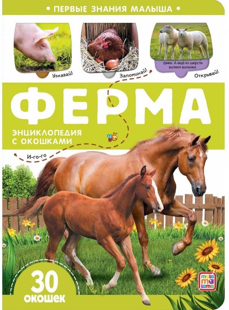 Первые знания малыша. Ферма | Baby's First Knowledge. Farm