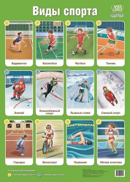 Плакат "Виды спорта" | Sports Poster