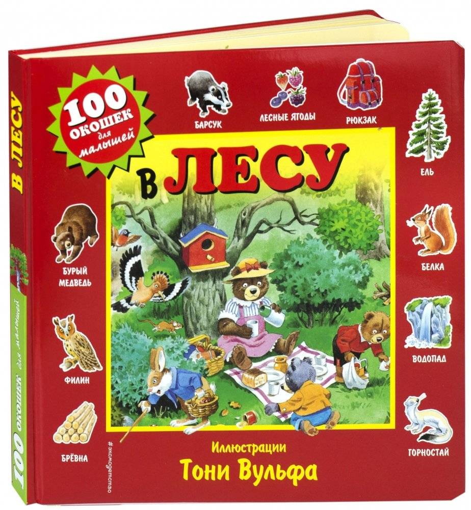 В лесу | In the Forest