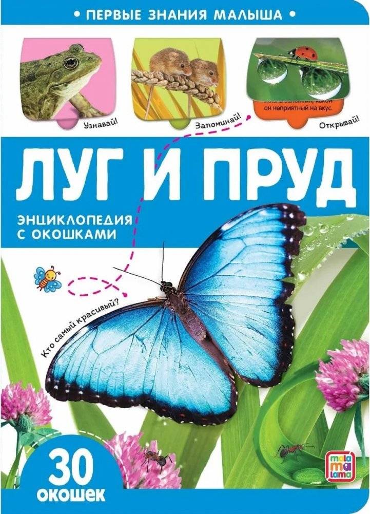 Луг и пруд. Энциклопедия с окошками | Meadow and Pond: An Encyclopedia with Windows