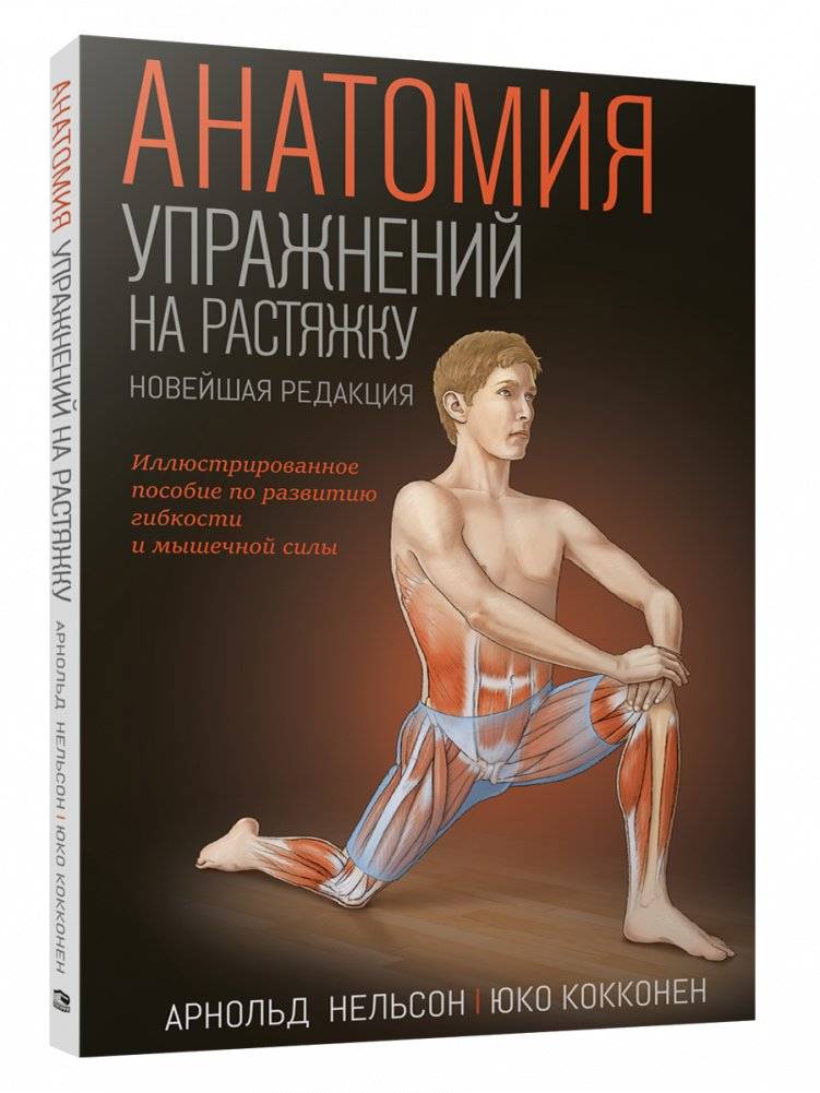 Анатомия упражнений на растяжку | Anatomy of Stretching Exercises
