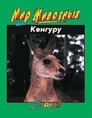 Кенгуру