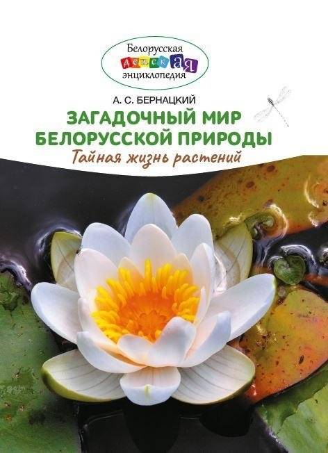 Загадочный мир белорусской природы. Тайная жизнь растений | The Mysterious World of Belarusian Nature: The Secret Life of Plants