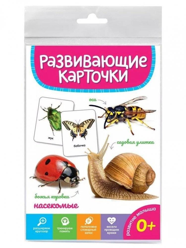 Развивающие карточки. Насекомые | Educational Cards. Insects