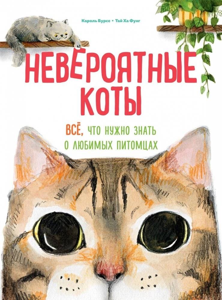 Невероятные коты. Всё, что нужно знать о любимых питомцах | Incredible Cats: Everything You Need to Know About Your Beloved Pets