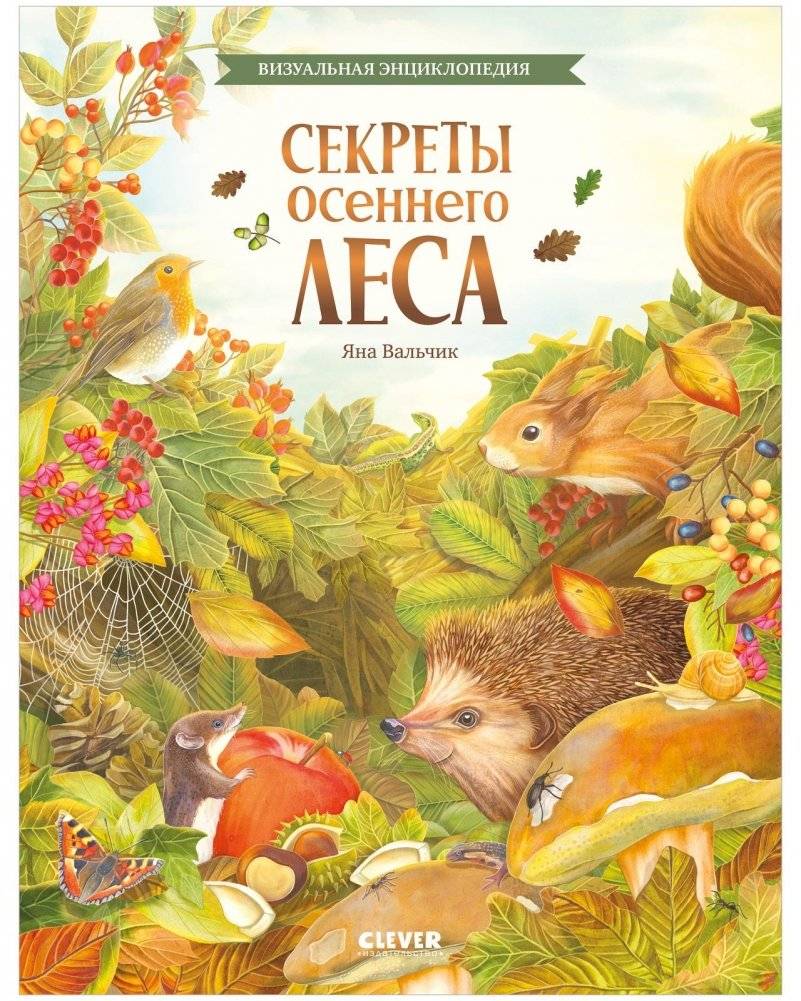 Секреты осеннего леса. Визуальная энциклопедия | Secrets of the Autumn Forest: A Visual Encyclopedia