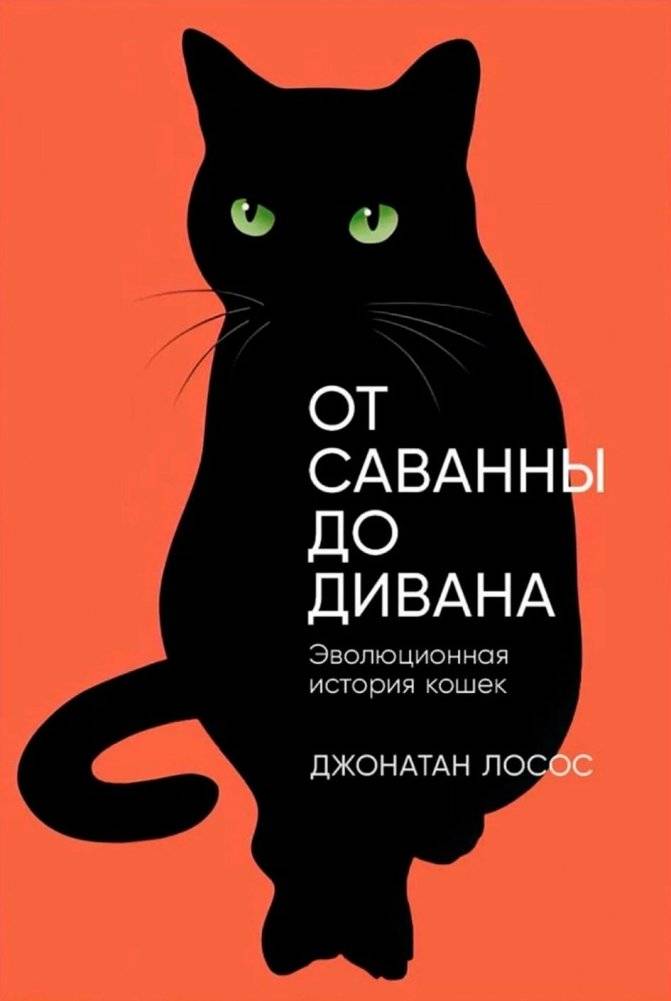 От саванны до дивана. Эволюционная история кошек | Ot savanny do divana. Evoliutsionnaia istoriia koshek