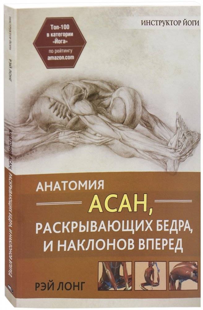 Анатомия асан, раскрывающих бедра, и наклонов вперед | Anatomy of Hip-Opening and Forward-Bending Poses