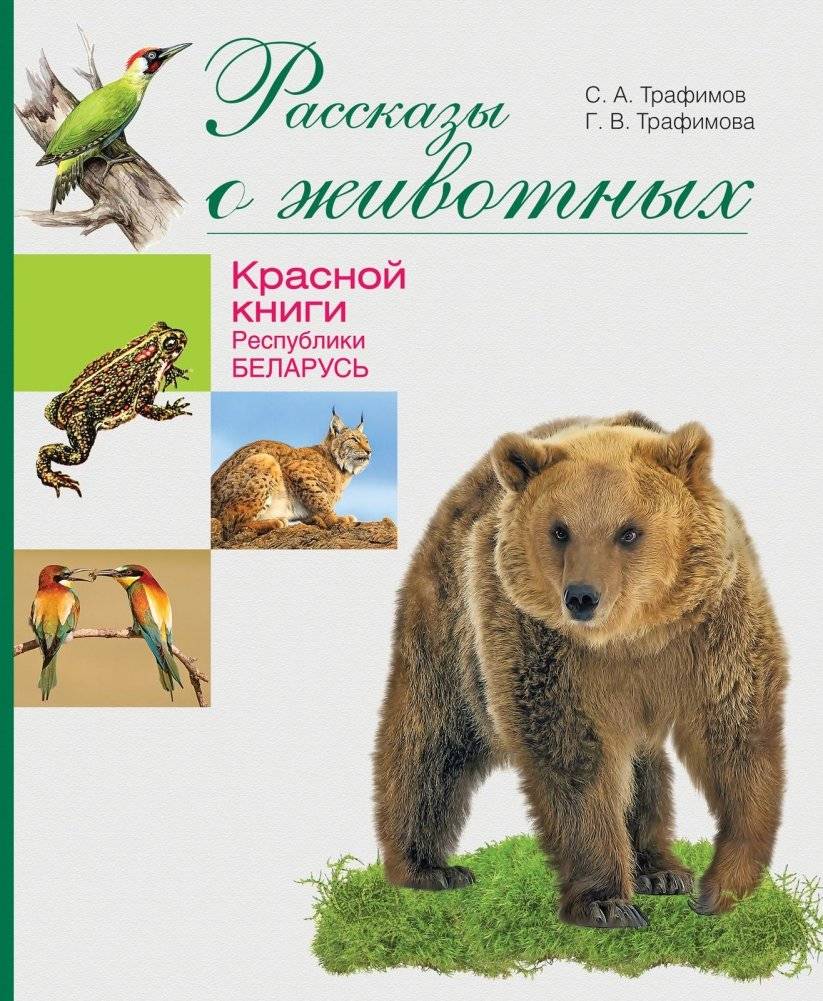 Рассказы о животных Красной книги Республики Беларусь | Stories of Animals from the Red Book of the Republic of Belarus