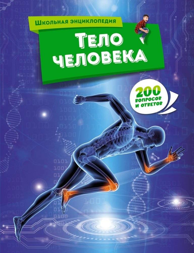 Тело человека | The Human Body