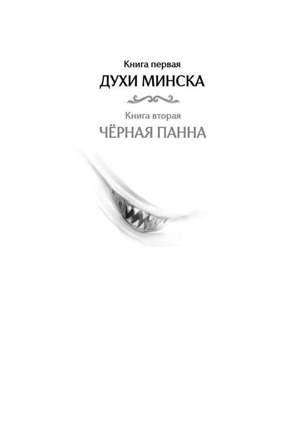 Агент призрака. Кн. 1. Духи Минска (с автографом автора) фото книги 2