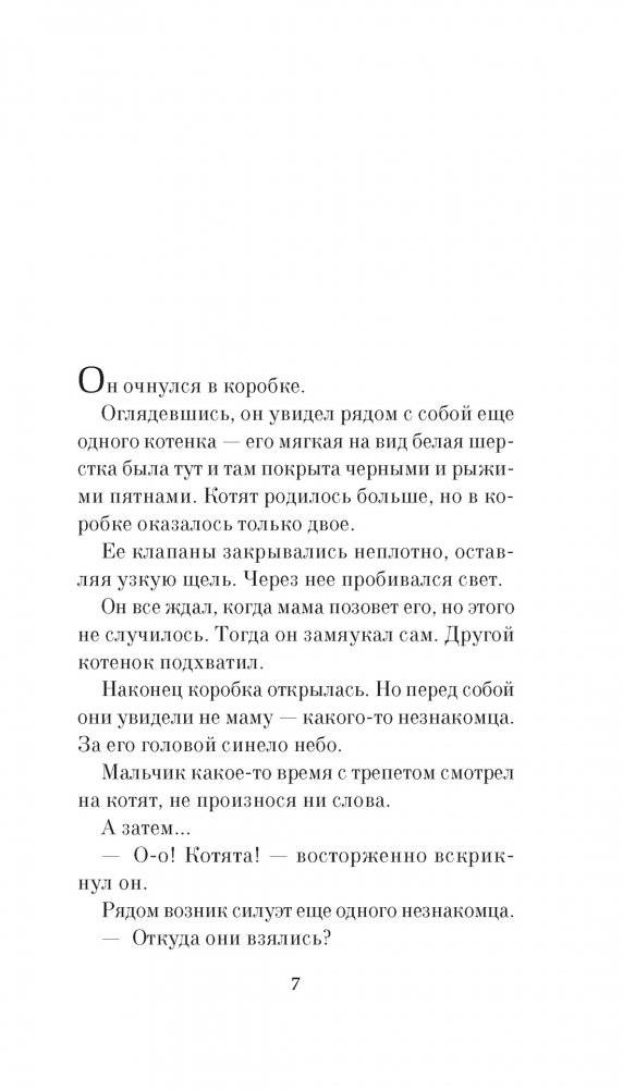 Прощание с котом фото книги 5