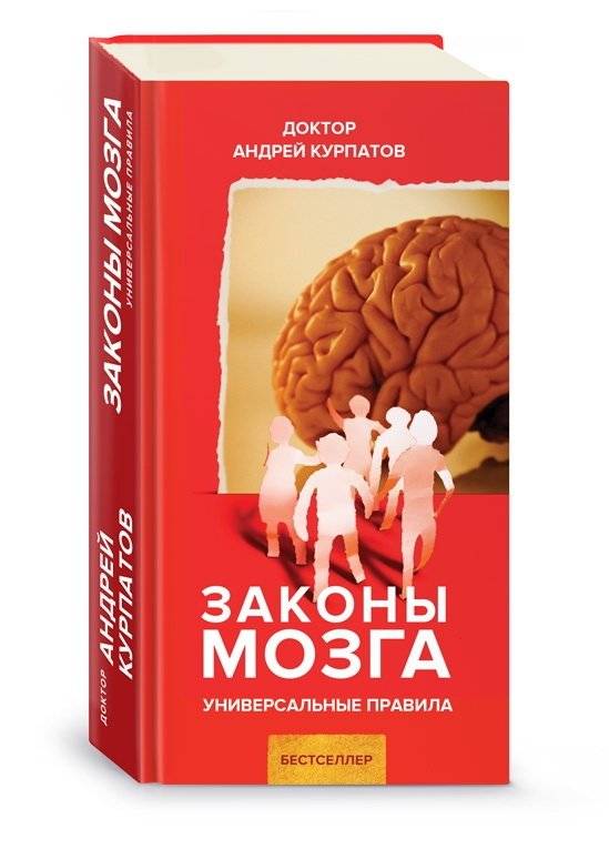 Законы мозга | The Laws of the Brain