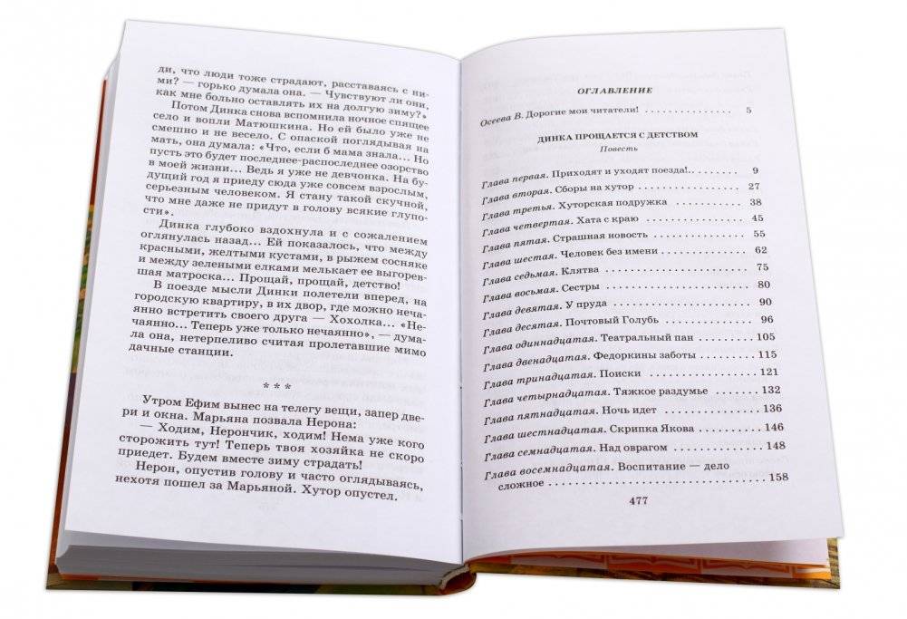 Динка прощается с детством фото книги 5