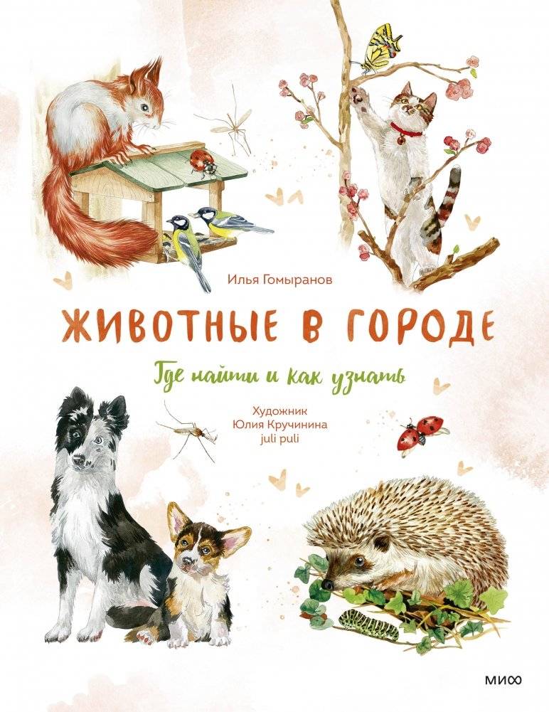 Животные в городе. Где найти и как узнать | Animals in the City: Where to Find Them and How to Identify Them