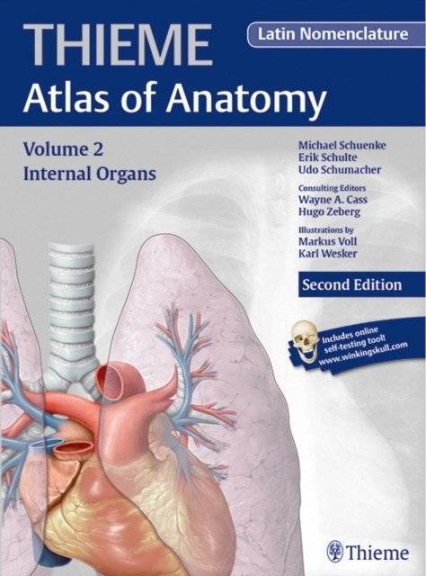 Внутренние органы (Thieme Atlas of Anatomy), латинская номенклатура | Internal Organs (Thieme Atlas of Anatomy), Latin Nomenclature
