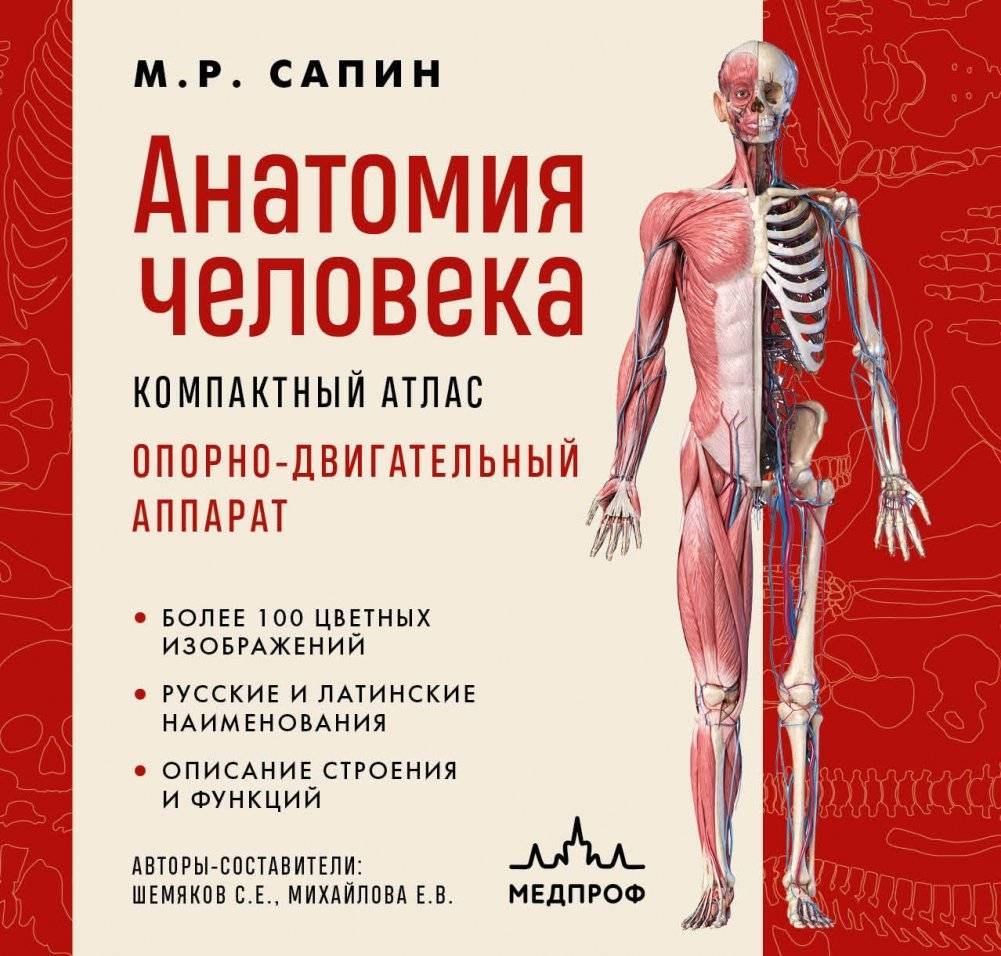 Анатомия человека. Компактный атлас. Опорно-двигательный аппарат | Human Anatomy: Musculoskeletal System Compact Atlas